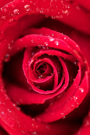 类似于急速赛车类手游大全